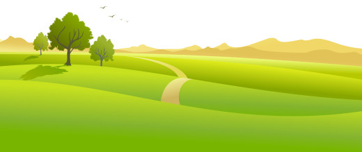 �1181738 �������(a): ����������:6250x2626